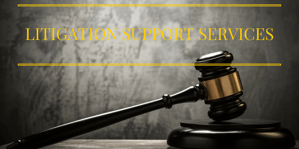 Litigation Support Services