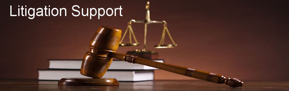 Litigation support